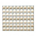 HİNDİ/ ÖRDEK KULUÇKA GELİŞİM TABLASI(40x5x50)63Hindi veya Ördek yumurtası