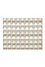 HİNDİ/ ÖRDEK KULUÇKA GELİŞİM TABLASI(40x5x50)63Hindi veya Ördek yumurtası