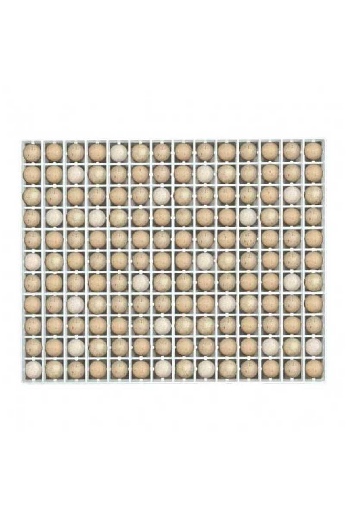 1_org_zoom-103.jpg KEKLİK KULUÇKA GELİŞİM TABLASI (40x5x50)154 keklik - Görsel 1