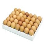 KULUÇKA GELİŞİM TABLASI AYARLANABİLİR 10 adet çıta ile sunulur(24.5X32.5 Cm)