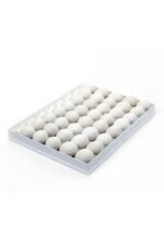 KAZ / KARIŞIK KULUÇKA GELİŞİM TABLASI 40 kaz yumurtası (40X50 Cm)
