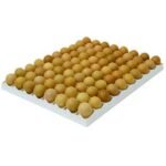 TAVUK KULUÇKA GELİŞİM TABLASI 80 tavuk yumurtası (40X50 Cm)