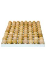 TAVUK KULUÇKA GELİŞİM TABLASI 80 tavuk yumurtası (40X50 Cm) - Görsel 2