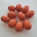 Plastik Tavuk Yumurta Kahverengi (10 Adet)