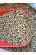 Kendir (Kenevir) Tohumu kanarya Saka Yemi (1KG)