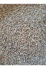 Kendir (Kenevir) Tohumu kanarya Saka Yemi (1KG) - Görsel 2