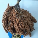 Dal Darı Kuş Yemi (1 Kg)