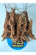 Dal Darı Kuş Yemi 250 Gr