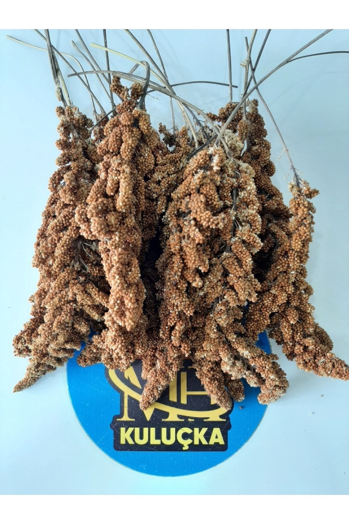 1_org_zoom-271.jpg Dal Darı Kuş Yemi 250 Gr - Görsel 1