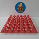 Plastik Yumurta Viyolü 30 Yumurta ( 2 Adet)