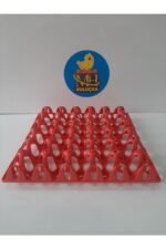 Plastik Yumurta Viyolü 30 Yumurta ( 2 Adet)