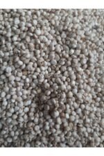 Güvercin Yem Beyaz Sorgun Yerlı (25kg)