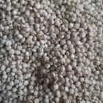 Güvercin Yem Beyaz Sorgun Yerlı (5kg)