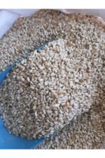 Aspir Tohumu Güvercin Sultan Papağanı Yemi (4 kg)