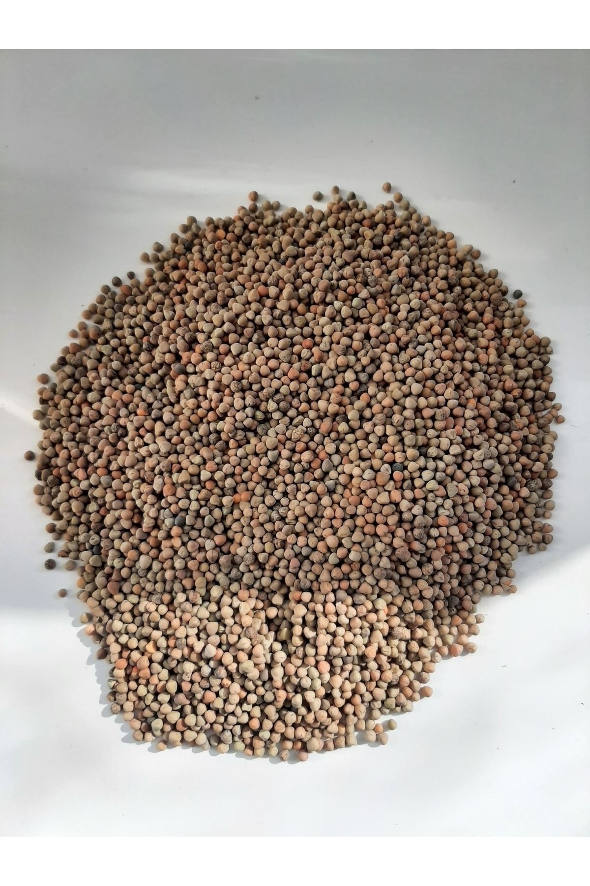 1_org_zoom-314.jpg Burçak Kuş Yemi (3 Kg) - Görsel 1