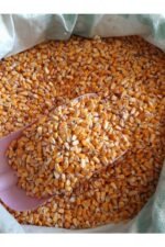Tüm Mısır Tavuk Kaz Ördek Kuş Kanatlı Yemi (5 KG)