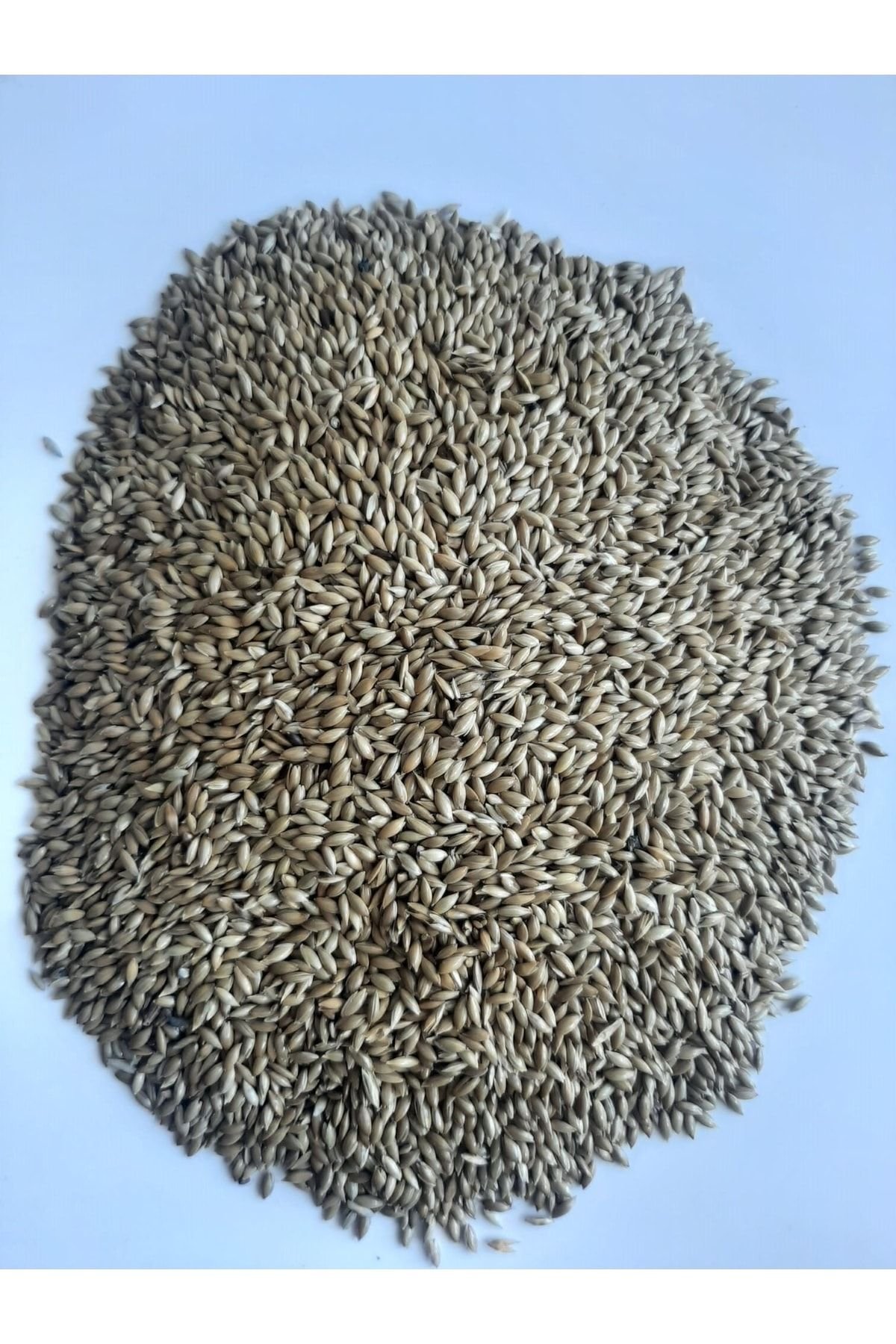 1_org_zoom-338.jpg Sade Kanarya Yemi Kaliteli Açık (2 Kilo) - Görsel 1