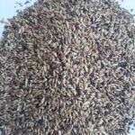 Karışık Kanarya Yemi Kaliteli Karışım Açık (2 Kilo)