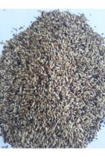Karışık Kanarya Yemi Kaliteli Karışım Açık (2 Kilo)