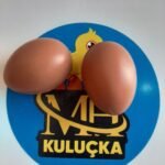 Sahte Tavuk Yumurta (2 Adet) Kahverengi