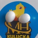 Sahte Güvercin Yumurta 6 Adet