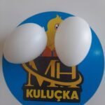 Sahte Tavuk Yumurta 2 Adet Beyaz
