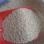 Muhabbet Kuş Yemi Ak Darı Beyaz Sade (1 Kg)