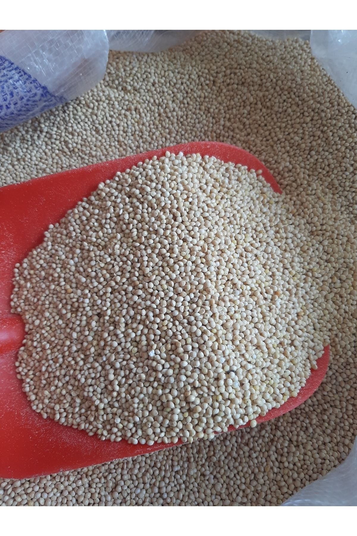 1_org_zoom-367.jpg Muhabbet Kuş Yemi Ak Darı Beyaz Sade (1 Kg) - Görsel 1