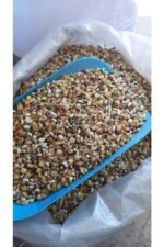 Karışık Güvercin Yemi 5 Kg