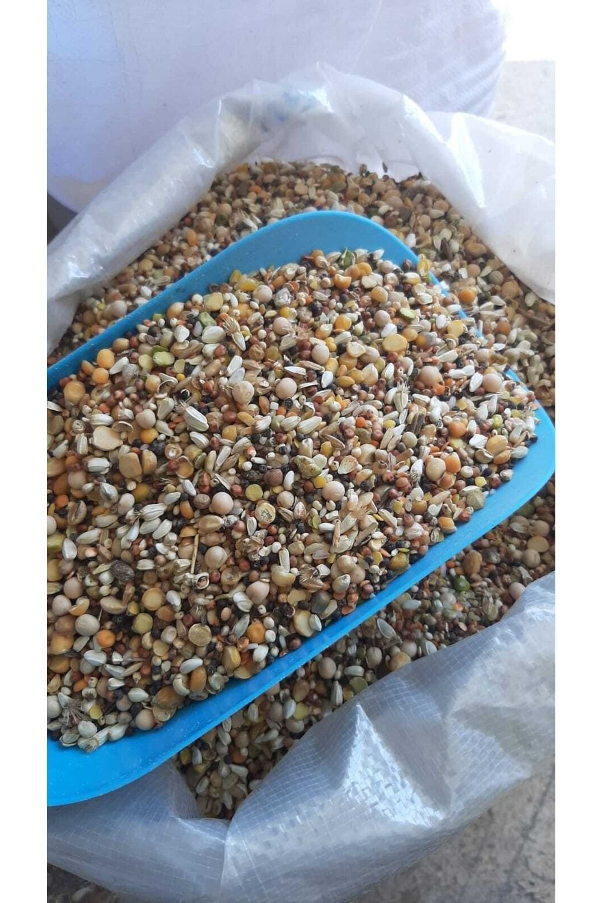 1_org_zoom-402.jpg Karışık Güvercin Yemi 5 Kg - Görsel 1