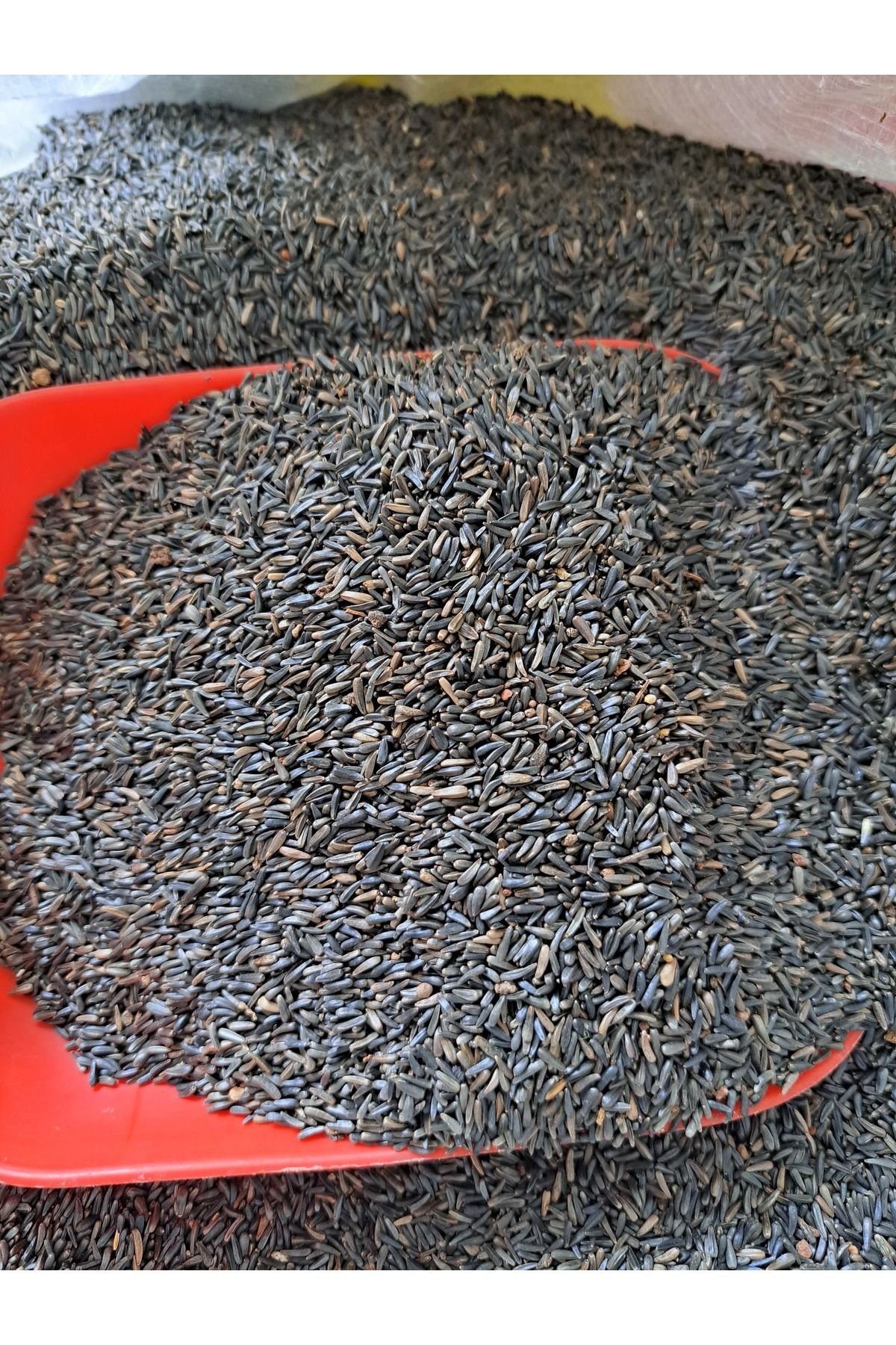 1_org_zoom-41.jpg Nijer Tohumu Kuşlar İçin Kızıştırıcı Yemi 1 KG - Görsel 1