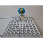 81'lik Otomatik Kuluçka Gelişim Viyolü 46,5x53,5x13,5