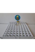 81'lik Otomatik Kuluçka Gelişim Viyolü 46,5x53,5x13,5