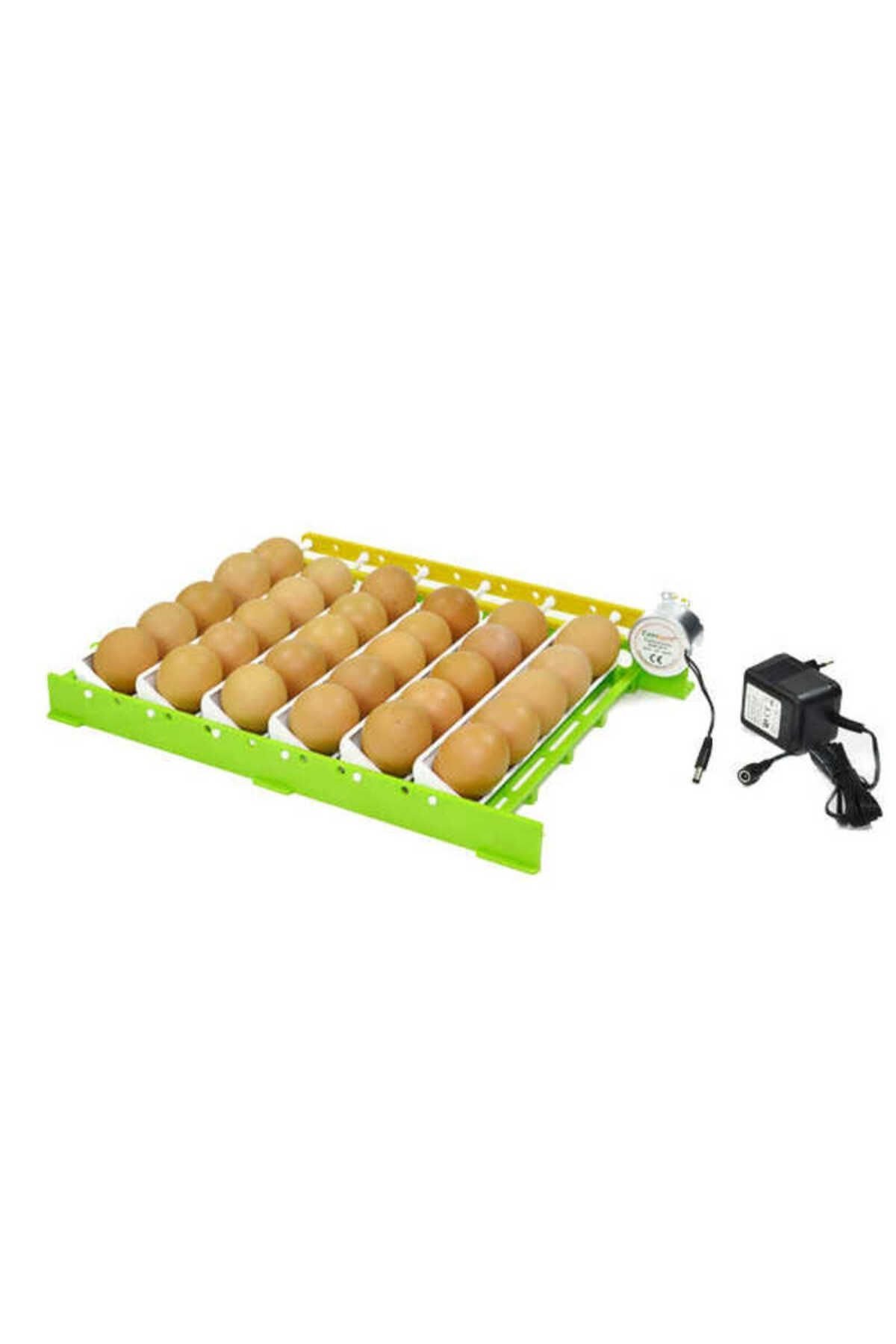 1_org_zoom.jpg Otomatik Kuluçka Gelişim Viyolü39,5X28,5CM CONTURN30+ADAPTÖR(10W,5VAC) - Görsel 1