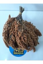 Dal Darı Kuş Yemi 500 Gr - Görsel 2