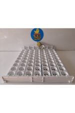 63'lük Otomatik Kuluçka Viyolü - Görsel 3