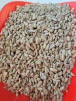 Çiğ Ay Çekirdeği İçi (Kavrulmamış ve Tuzsuz) 1 KG