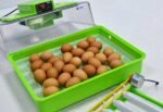KULUÇKA MAKİNESİ PD30 SH - Görsel 2